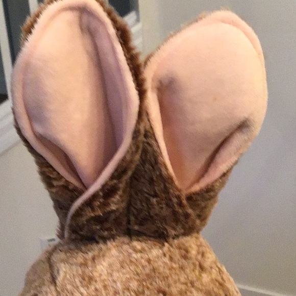 Easter standing  Dan Dee Peter Rabbit plush from the 2020 movie - Picture 3 of 14
